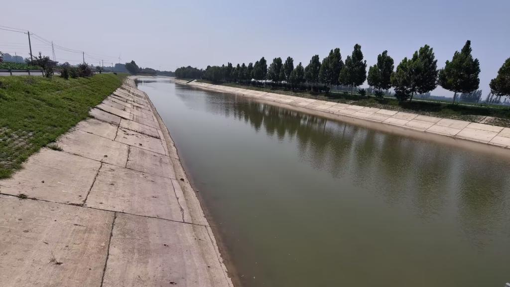足球直播515